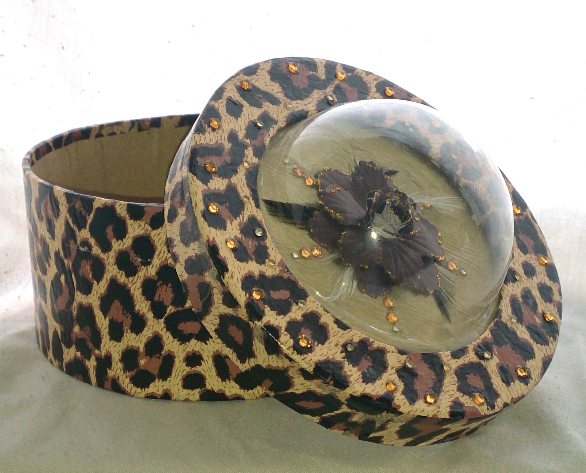 leopard (5)